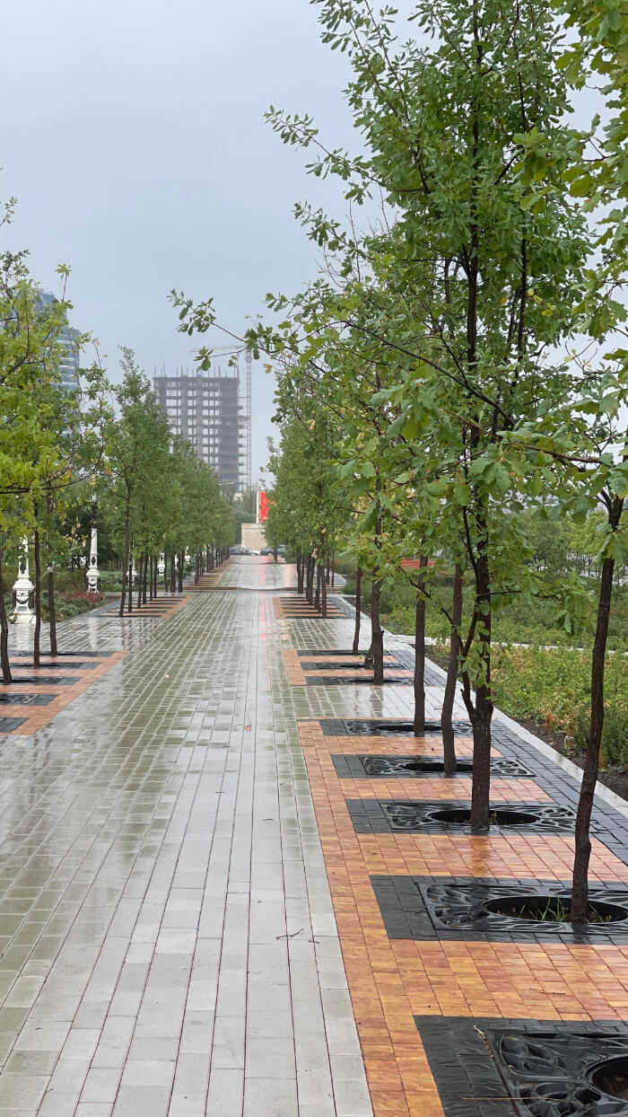 Приствольная решетка для дерева ZKING CRUST 1.2х1.2м Черная в Белой Калитве фото