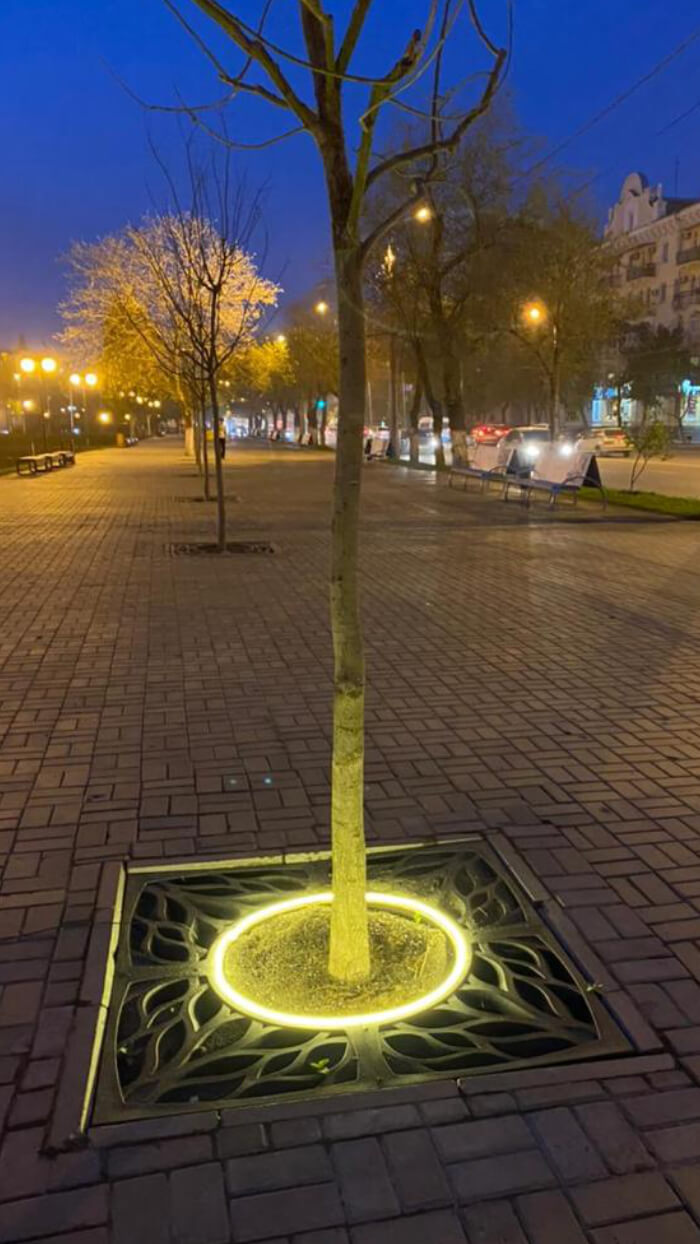 Приствольная решетка для дерева ZKING CRUST 1.2х1.2м Черная в Белой Калитве фото